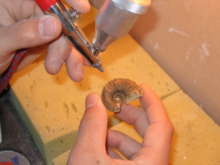 Ammonite from Grafham Water being prepared using an air-abrasive tool
