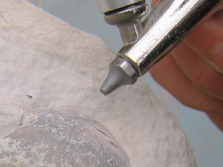 Close-up of an echinoid from Peacehaven being prepared using an air-abrasive tool