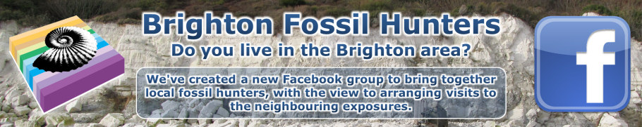 VISIT BRIGHTON FOSSIL HUNTERS