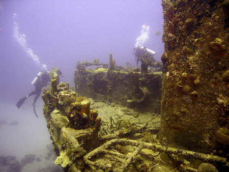 Divers explore a heavily encrusted ship wreck