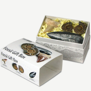 Visit our online shop