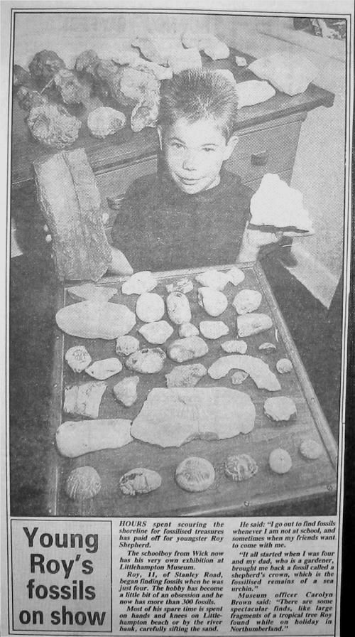 Roy Shepherd fossil collection Littlehampton Gazette newspaper cutting