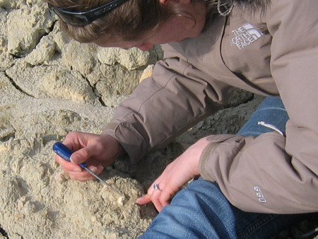 Lucinda Shepherd uses a steel point to extract a fossil