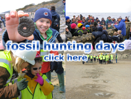 JOIN US ON A FOSSIL HUNT!