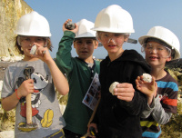 Discovering Fossils home page image 3