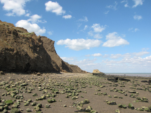 Warden Point Isle of Sheppey