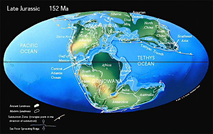 侏儸紀後期 (1億5千2百萬年前)