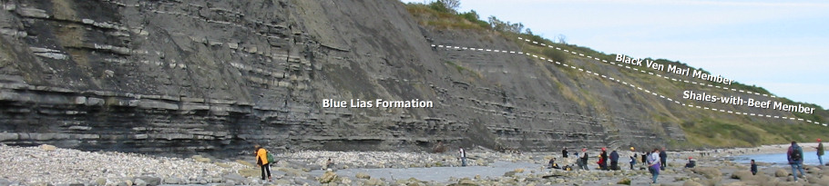 Geology diagram of Ware Cliffs and Monmouth Beach west of Lyme Regis
