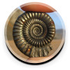 View resource