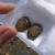 Helping protect fossils