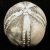Echinoids