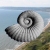 Fossil locations