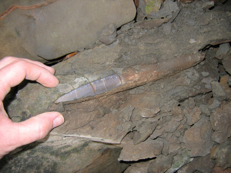 Large Jurassic fosil belemnite at the River Brora in Scotland