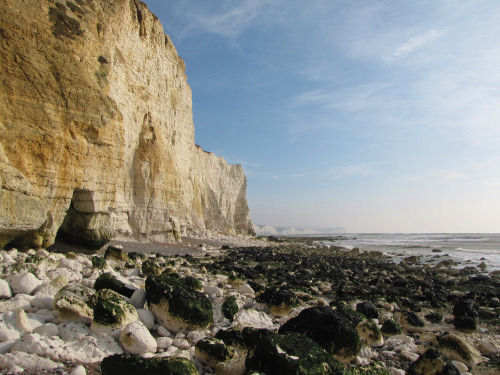Seaford Head chalk cliffs looking towards Seven Sisters