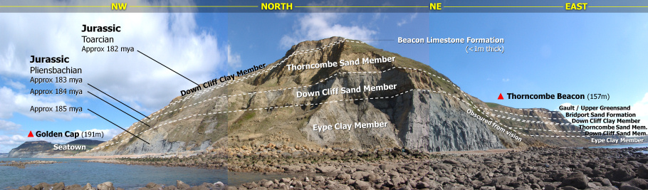 Thorncombe Beacon geology diagram