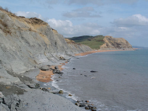 Seatown cliffs and foreshore
