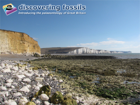 Seven Sisters chalk cliffs wallpaper