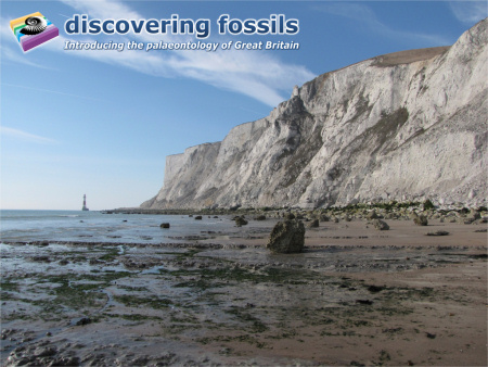 Beachy Head cliffs and lighthouse wallpaper
