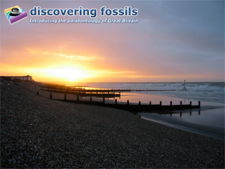 Bracklesham Bay sunrise wallpaper