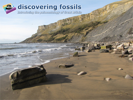 Brandy Bay near Kimmeridge wallpaper