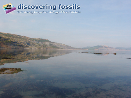 Lyme Regis and Black Ven wallpaper