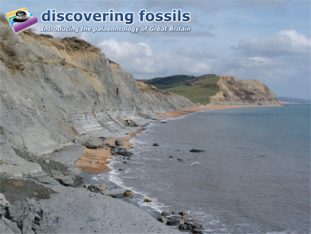 Jurassic Coast at Seatown wallpaper