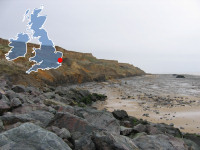 Click to view details