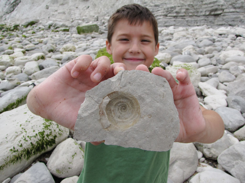 Beachy Head fossil gastropod