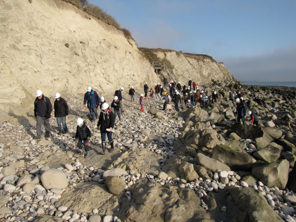 Beachy Head fossil hunting