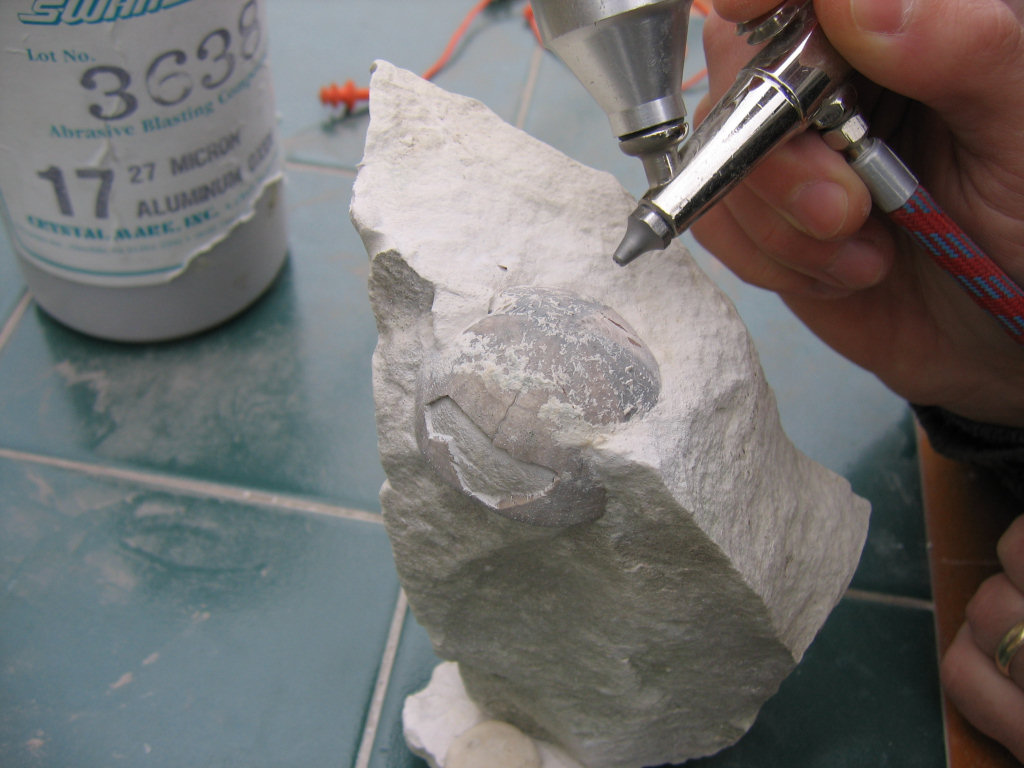 Fossil preparation air-abrasive