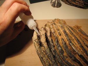 Fossil preparation thin superglue