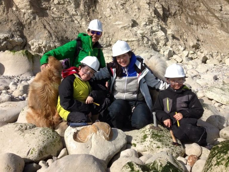 Join us on a fossil hunt! Discovering Fossils