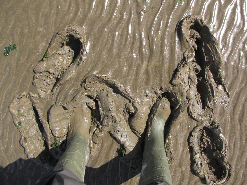 Isle of Sheppey deep mud