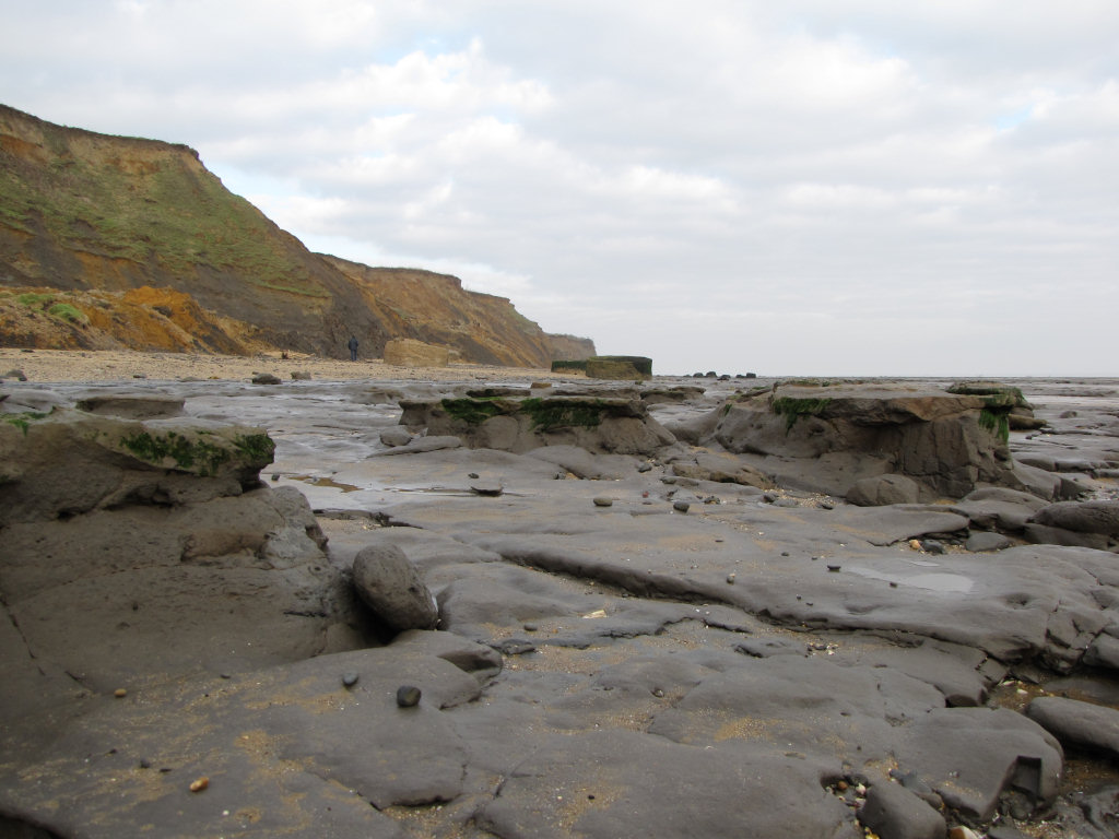 Walton-on-the-Naze London Clay Formation