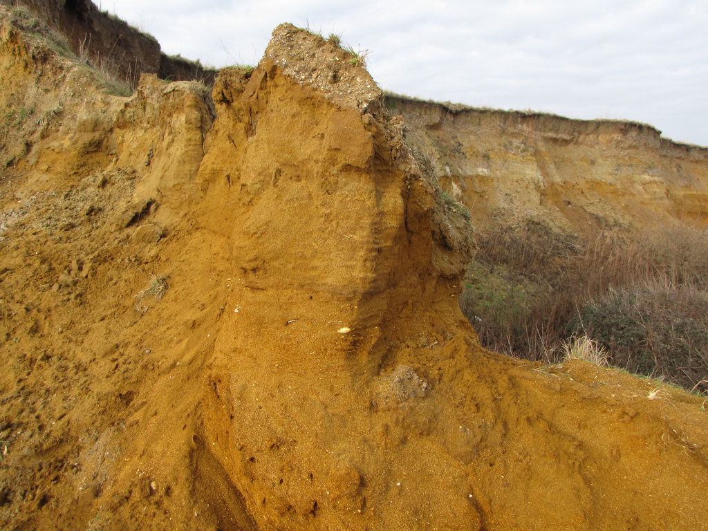 Walton-on-the-Naze Red Crag Formation