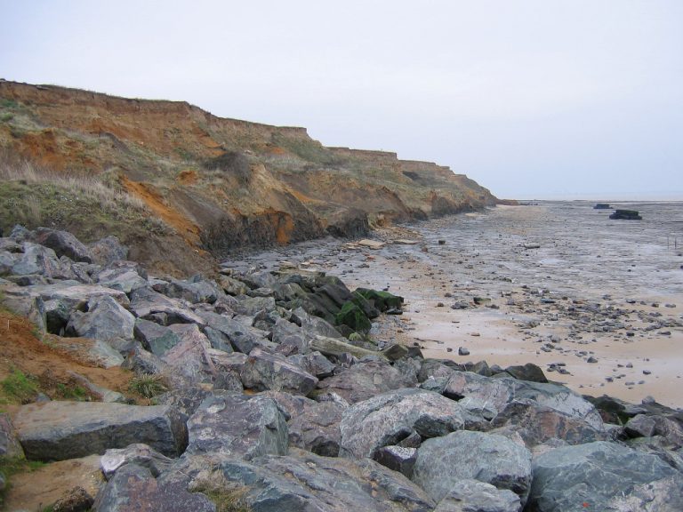 WaltonontheNaze (Essex) Discovering Fossils