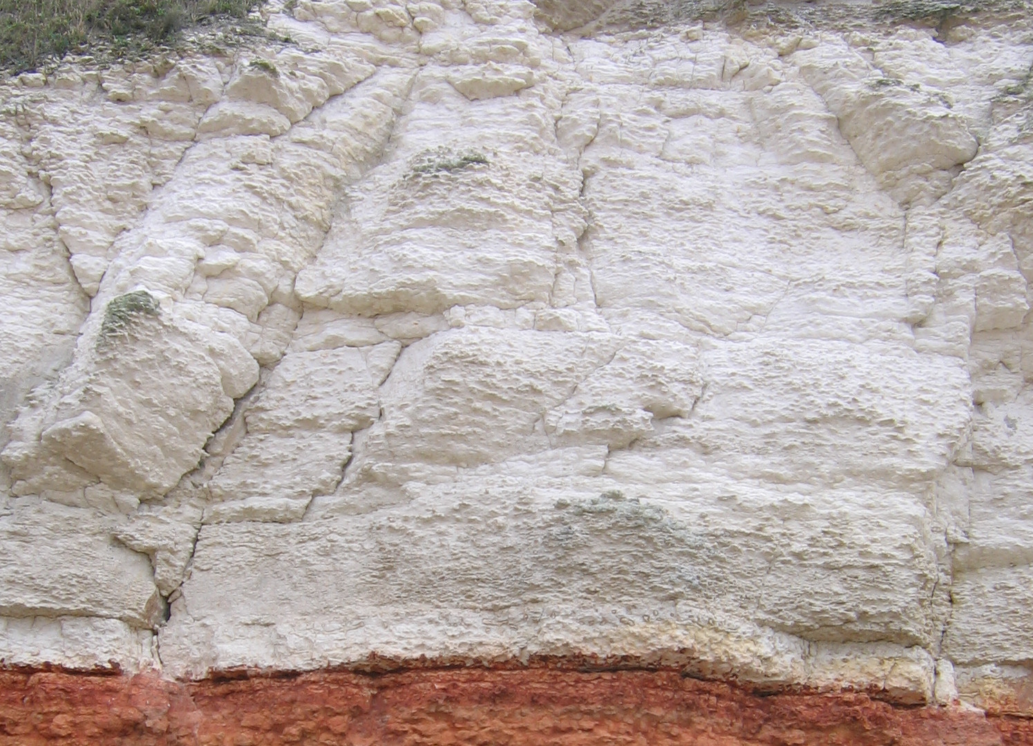 FerribyChalkFormation Discovering Fossils
