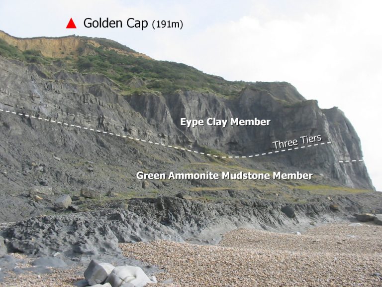 Charmouth (Dorset) Discovering Fossils