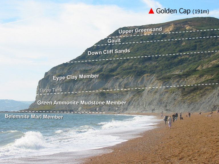 Charmouth (Dorset) Discovering Fossils