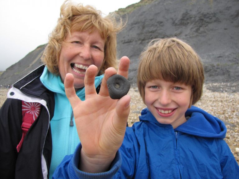 Charmouth (Dorset) Discovering Fossils