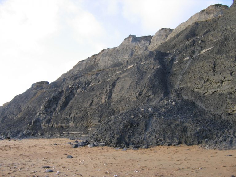 Charmouth (Dorset) Discovering Fossils