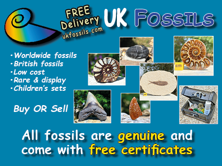 UK Fossils