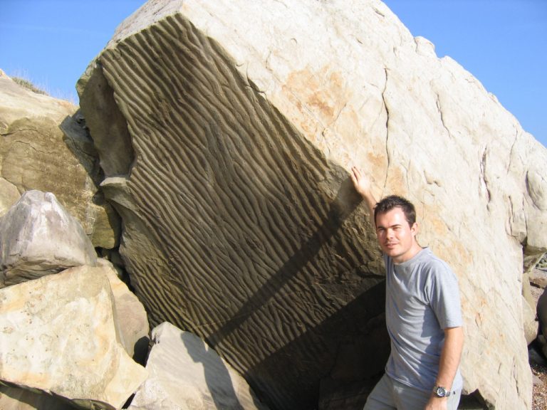 Hastings (East Sussex) | Discovering Fossils